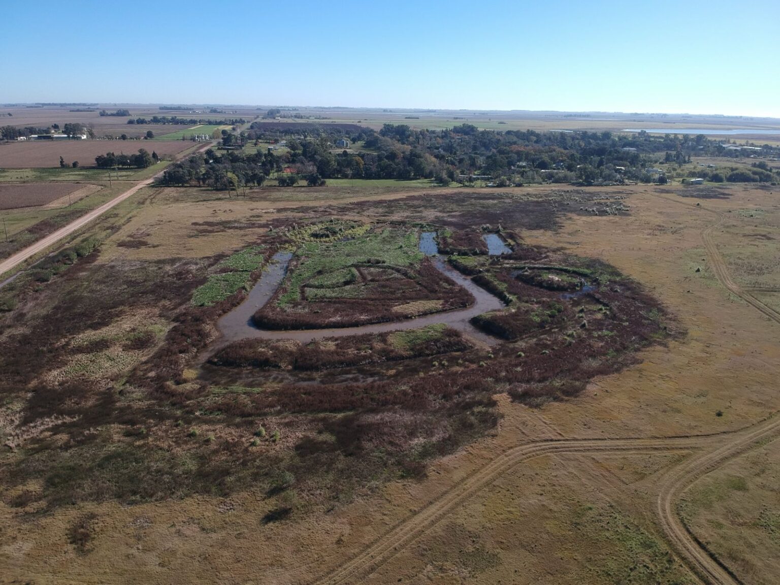 WhatsApp Image 2025-06-01 at 14.34.11