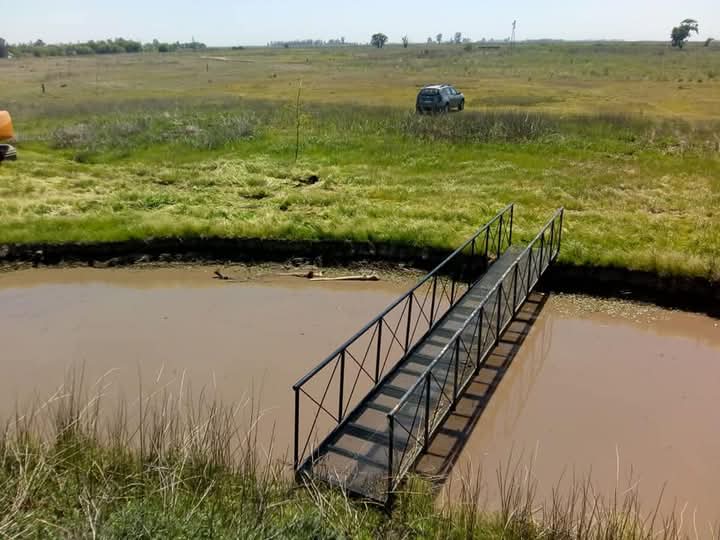 WhatsApp Image 2025-08-07 at 14.01.16